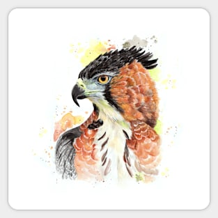 Wild beauty Ornate hawk eagle Watercolor Sticker